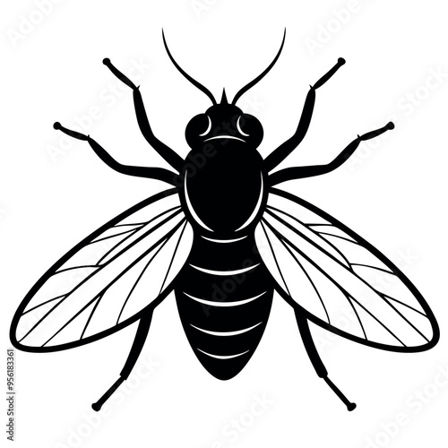          Fly logo icon vector illustration.
