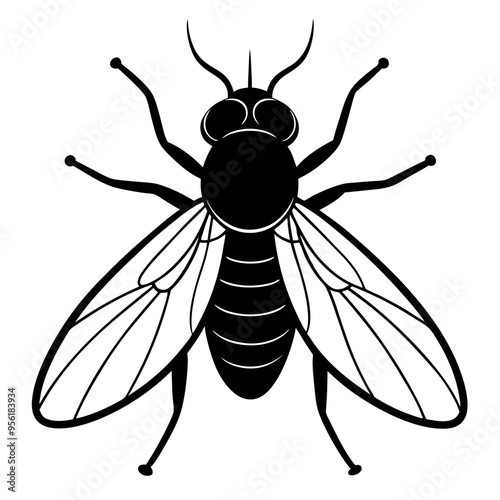          Fly logo icon vector illustration.
