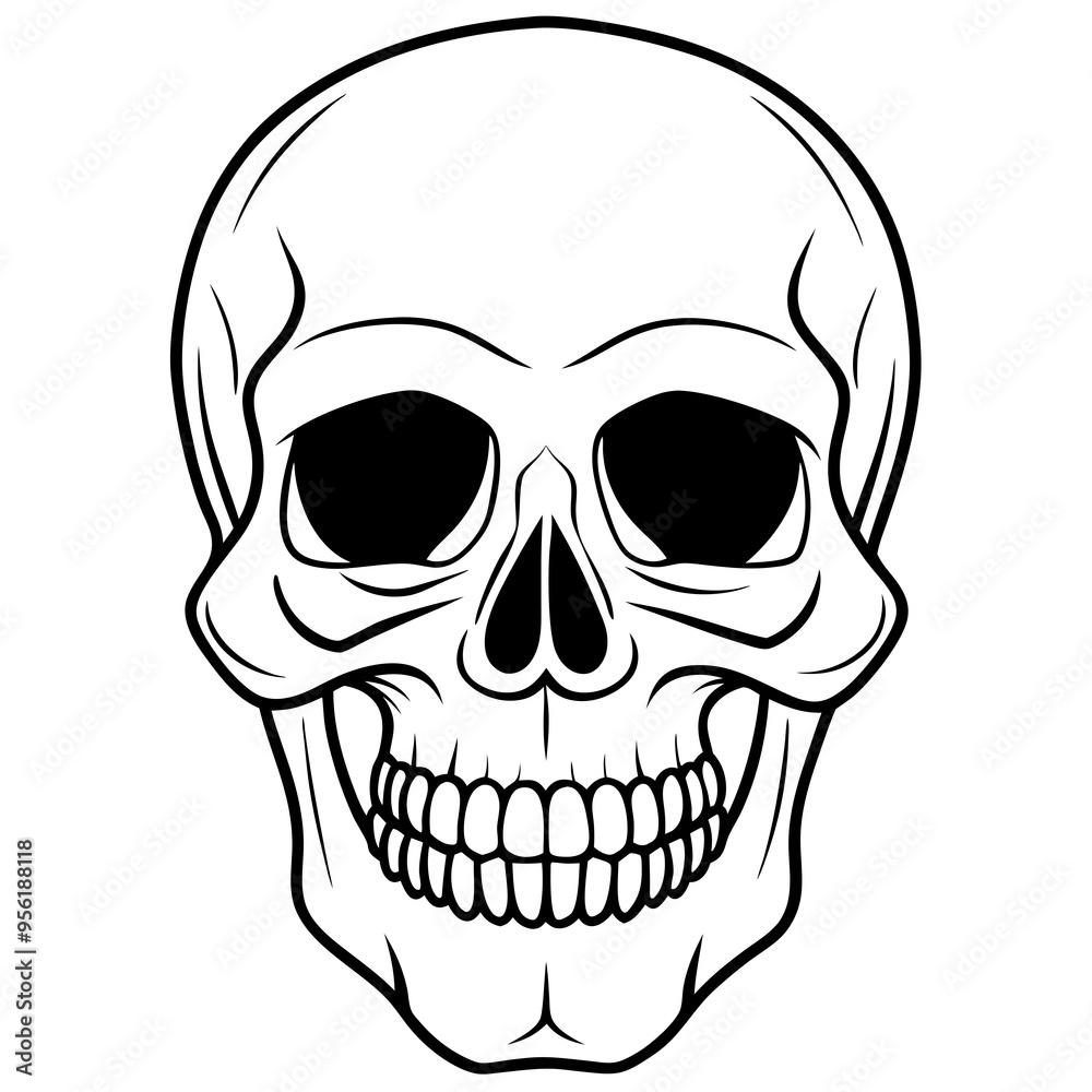 vector illustration of skull vector illustration of skull
