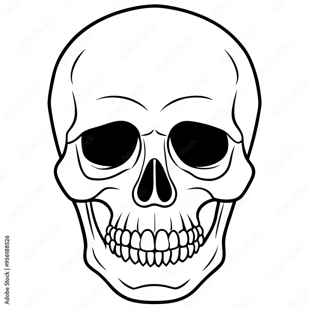 vector illustration of skull vector illustration of skull