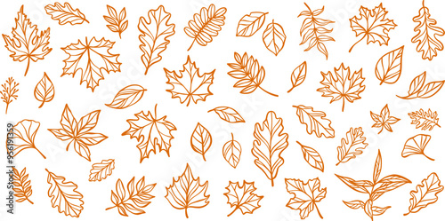 Autumn leaf illustration, line art doodle set, isolated