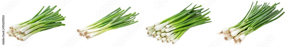 This is an isolated celery piece on a white background with a clipping path and full depth of field This is an isolated celery piece on a white background with a clipping path and full depth of field