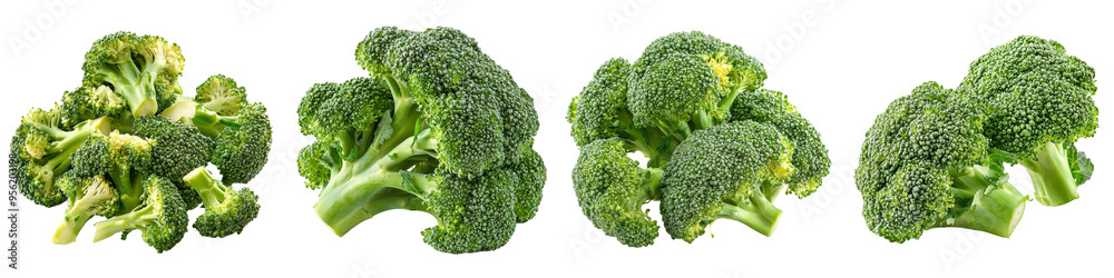 Isolated broccoli on white background, clipping path, full depth of field Isolated broccoli on white background, clipping path, full depth of field