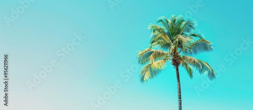 A tropical palm tree stands alone against a vibrant clear blue sky in the photo with copy space image on the right side for text