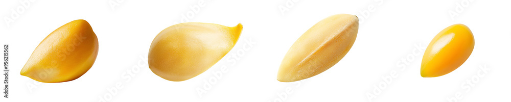 The pine nut is isolated on a white background, using a clipping path to achieve full depth of field The pine nut is isolated on a white background, using a clipping path to achieve full depth of field