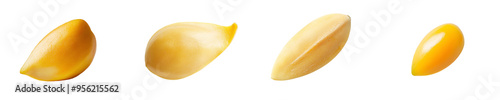 The pine nut is isolated on a white background, using a clipping path to achieve full depth of field
