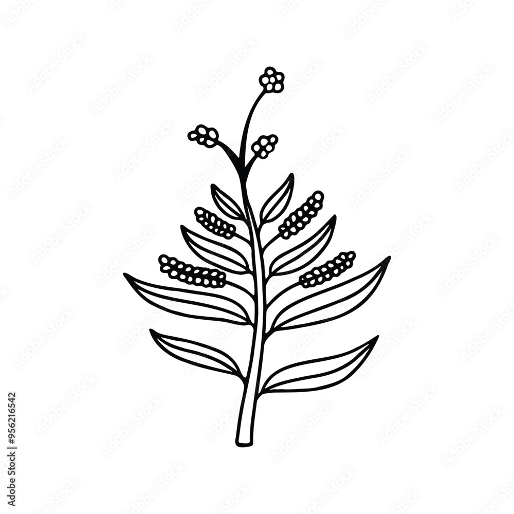 A black-and-white outline of a botanical branch featuring leaves and small berries. A black-and-white outline of a botanical branch featuring leaves and small berries.