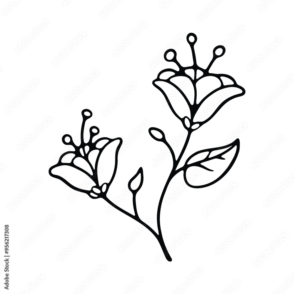 Fototapeta premium Floral branch line drawing illustration