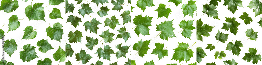The grape leaf of a plant isolated on a white background, seamless, pattern The grape leaf of a plant isolated on a white background, seamless, pattern