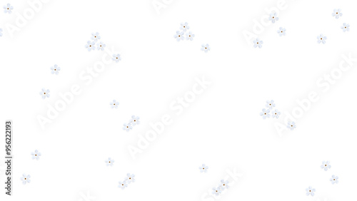 white tiny small flowers isolated on a transparent background 