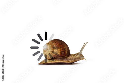 Snail with slow progress loading bar on white background - Concept of slow speed