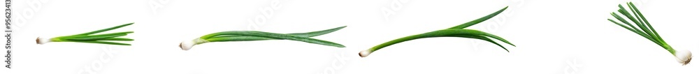An onion isolated on a white background with a full depth of field An onion isolated on a white background with a full depth of field