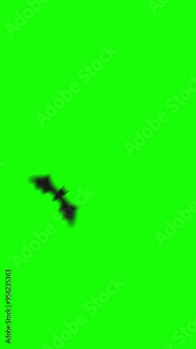 A spooky 2D video transition featuring a black bat flying across the screen. Perfect for Halloween-themed projects, adding a dark and eerie touch.