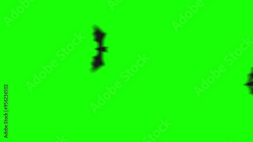 A spooky 2D video transition featuring a black bat flying across the screen. Perfect for Halloween-themed projects, adding a dark and eerie touch.