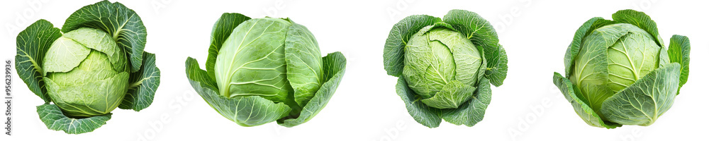 Savoy cabbage isolated on white background, depth of field filled with light Savoy cabbage isolated on white background, depth of field filled with light