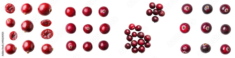 Isolated Cranberry on white background, depth of field is full Isolated Cranberry on white background, depth of field is full