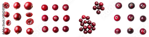 Isolated Cranberry on white background, depth of field is full