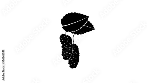 Obraz na plátně mulberry emblem, black isolated silhouette