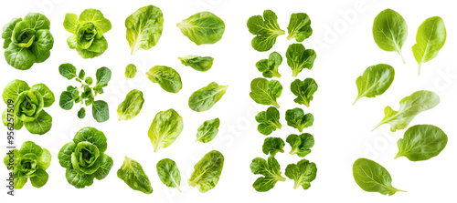 An isolated white background shows the falling lettuce leaf, which is in full depth of field.