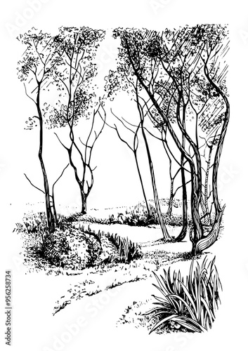 Landscape sketch, trees. Hand drawn vintage engraved sketch.