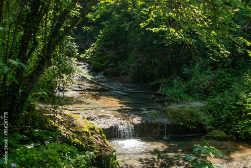 gorge of gea castel d'aiano waterfalls and streams among the bolognese mountains