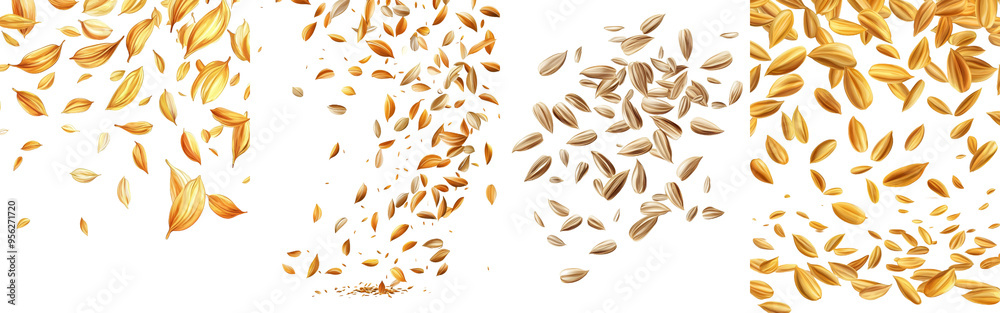 In full depth of field, one sunflower seed is falling on a white background. In full depth of field, one sunflower seed is falling on a white background.