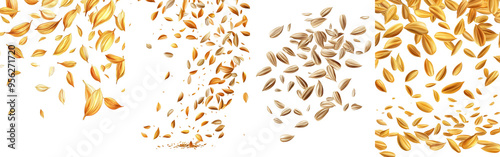 In full depth of field, one sunflower seed is falling on a white background.
