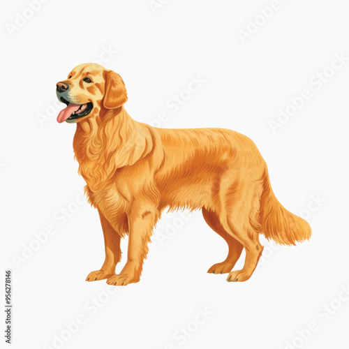 Golden Retriever dog illustration