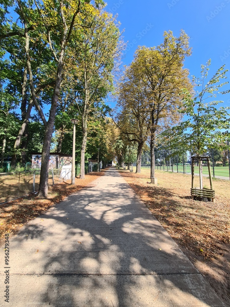 peaceful parc at the beginning of autumn in Berlin Treptow/Köpenick peaceful parc at the beginning of autumn in Berlin Treptow/Köpenick