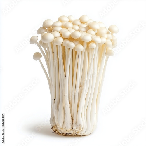 Enoki mushroom isolated on white background