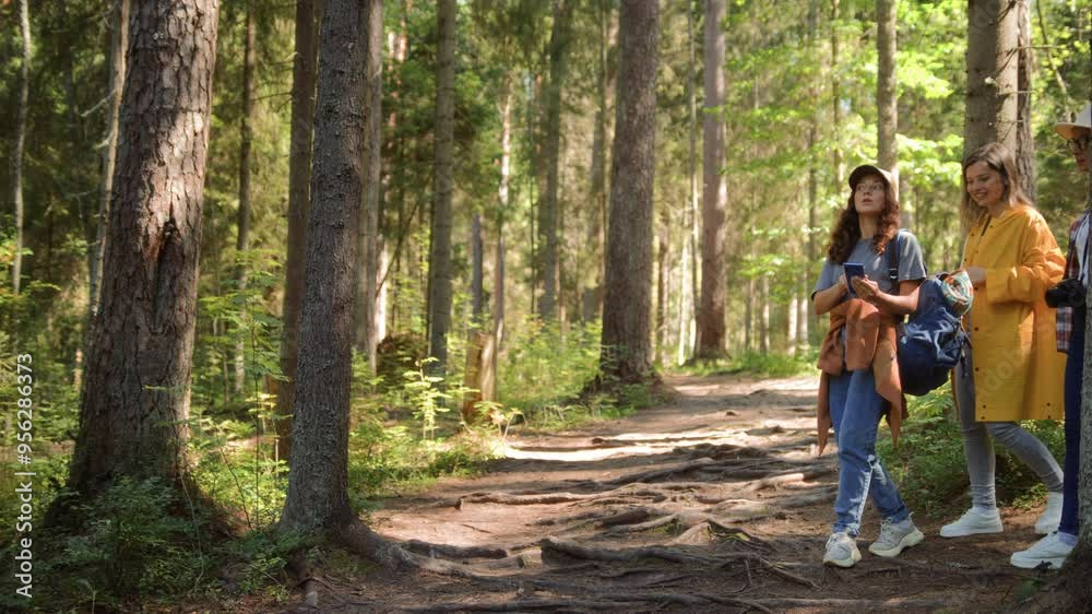 Three girlfriends enjoy vacations in forest, walking on pathway among tall green trees. Young women using mobile phone to navigate and find right way, or use application needed in woodland Three girlfriends enjoy vacations in forest, walking on pathway among tall green trees. Young women using mobile phone to navigate and find right way, or use application needed in woodland