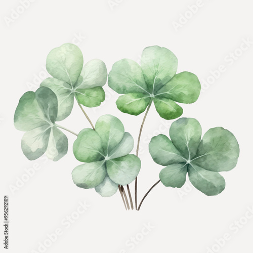 Watercolor clover leaves illustration