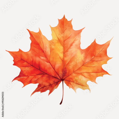 Vibrant autumn maple leaf illustration