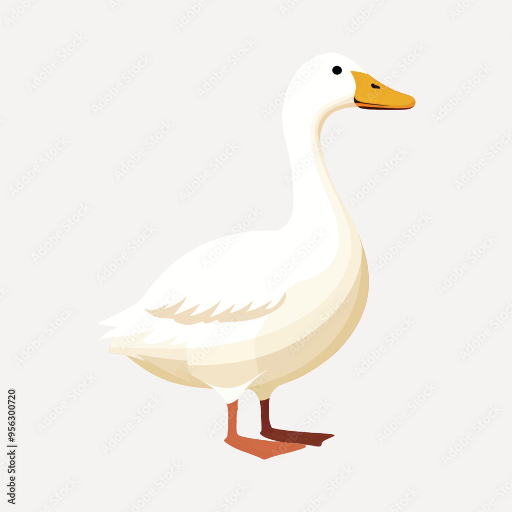 White duck vector illustration White duck vector illustration