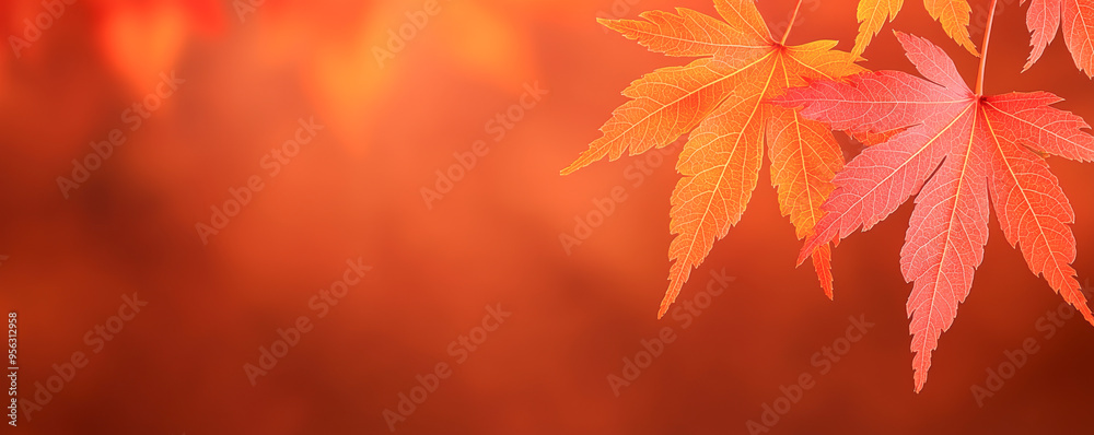 Vibrant autumn leaves in warm hues create a serene and tranquil backdrop, ideal for seasonal themes or natural beauty. Vibrant autumn leaves in warm hues create a serene and tranquil backdrop, ideal for seasonal themes or natural beauty.