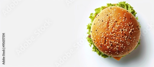 Obraz na płótnie Top down perspective photograph of a hamburger bun on a white backdrop with available space for additional images w salonie