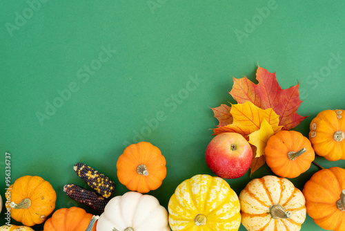 Halloween or thansgiving concept, orange and white pumpkins border on bright green background with copy space photo