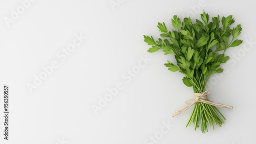 Freshly harvested organic herbs, bunches tied with twine, 3D illustration