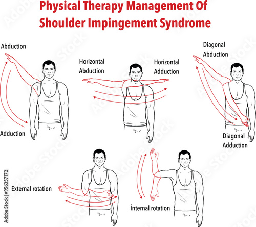 Shoulder Joint Movements vector illustration