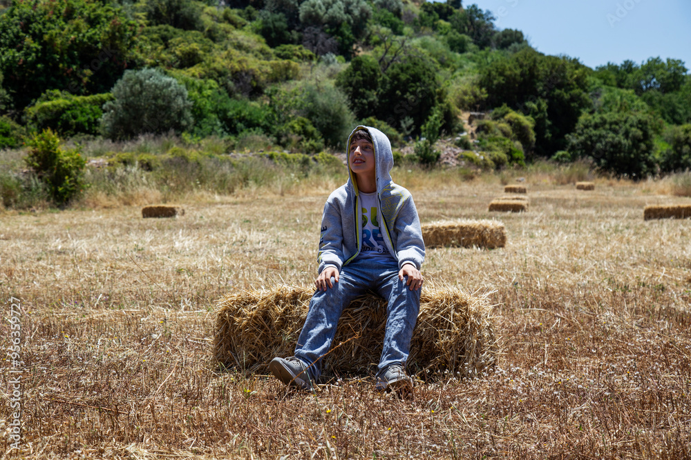 Boy sitting on a hay bale in a sunlit field and smiling Boy sitting on a hay bale in a sunlit field and smiling