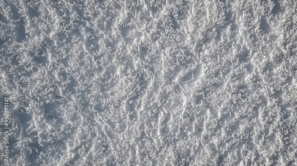 An intricate close-up of a snow-covered surface showing complex, delicate textures and patterns created by nature's artistry. An intricate close-up of a snow-covered surface showing complex, delicate textures and patterns created by nature's artistry.