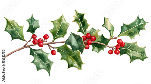 Festive holly branch with green leaves and red berries, perfect for holiday decoration or Christmas-themed designs.
