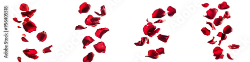 set of A Red rose petals floating in the air, on a transparent background