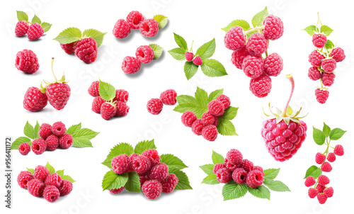 Raspberry on isolated background