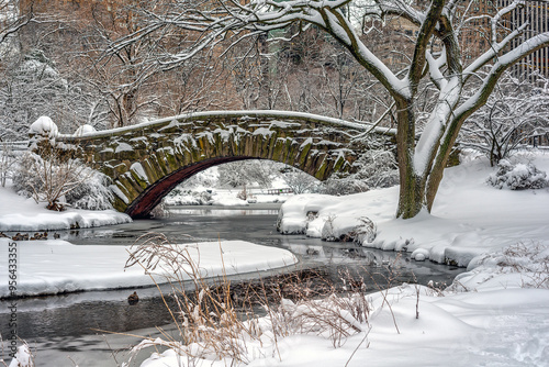 Gapstow Bridge in Central Park