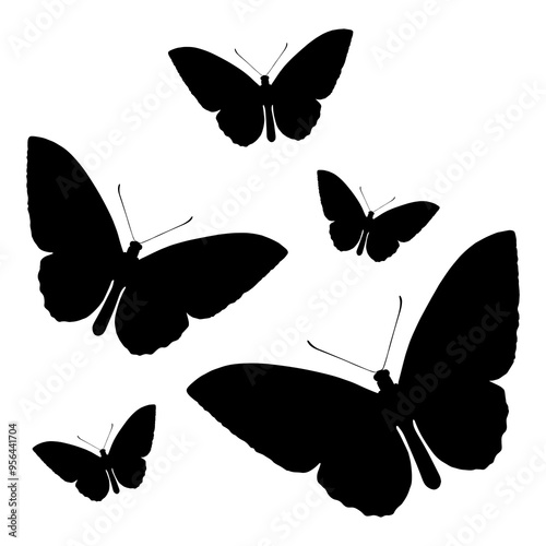 Photography Butterflies png silhouette sticker, flat insect graphic, transparent background