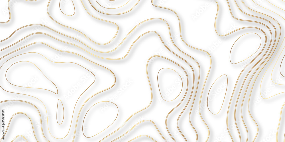 A Holistic Approach to Vector Mapping That Integrates Topographical and Topological Concepts to Revolutionize the Design of Geospatial Backgrounds A Holistic Approach to Vector Mapping That Integrates Topographical and Topological Concepts to Revolutionize the Design of Geospatial Backgrounds