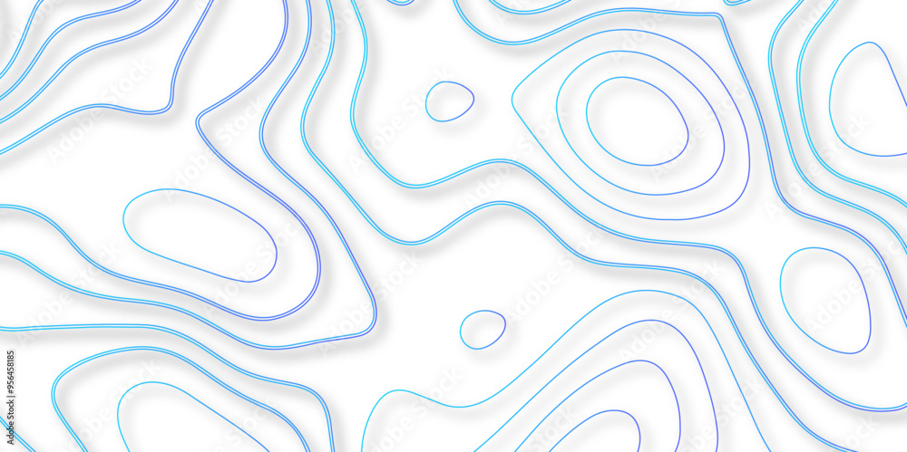 A Detailed Study of How Topography and Topology Combine to Create Vector Maps with Intricate Backgrounds for Modern Cartography A Detailed Study of How Topography and Topology Combine to Create Vector Maps with Intricate Backgrounds for Modern Cartography