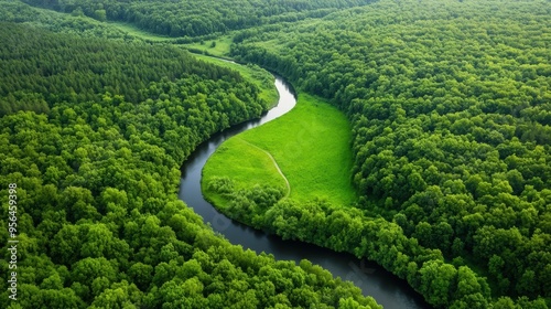 Aerial a serene forested landscape with a winding river cutting through, highlighting the natural beauty and untouched wilderness