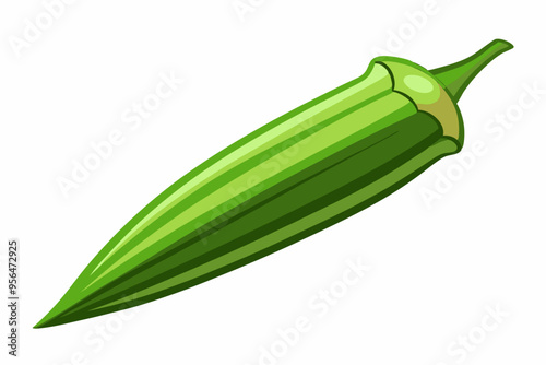 illustration fresh a okra isolated on white